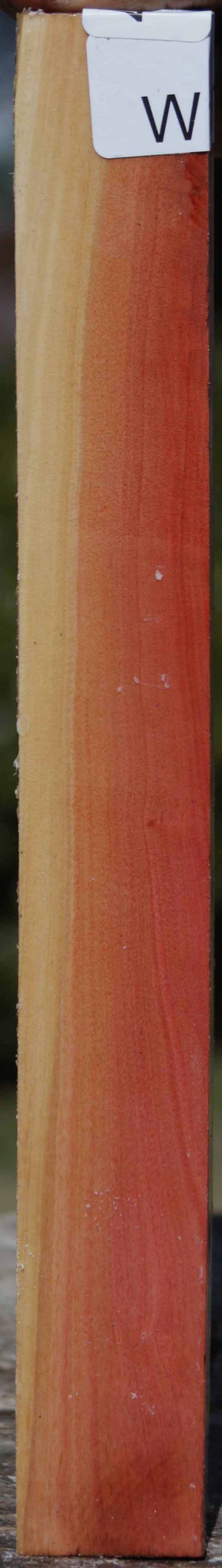 Pink Ivory Turning Square