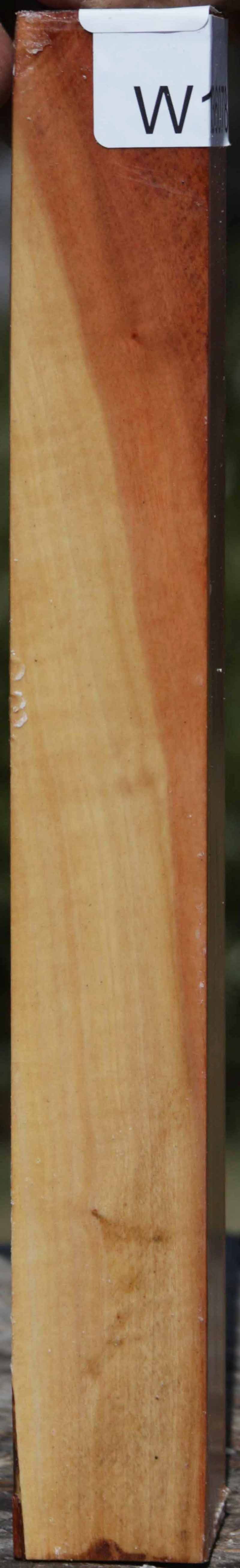 Pink Ivory Turning Square