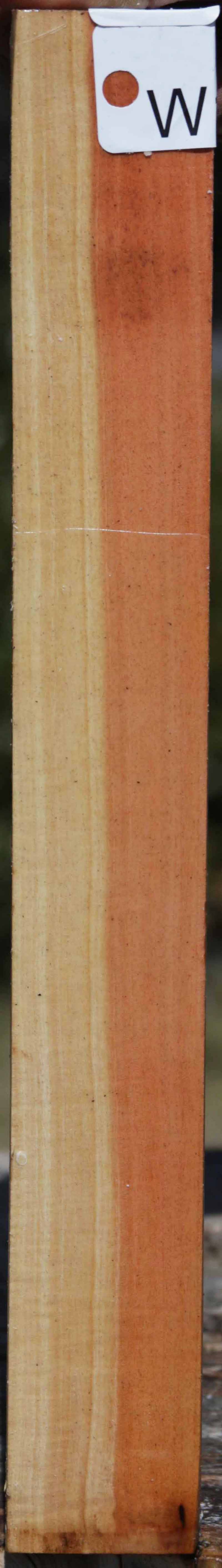 Pink Ivory Turning Square