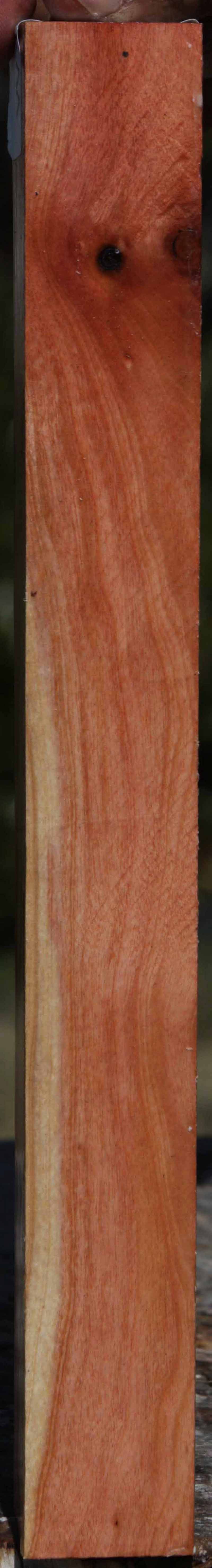 Pink Ivory Turning Square