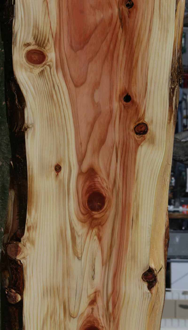 Sequoia Slab