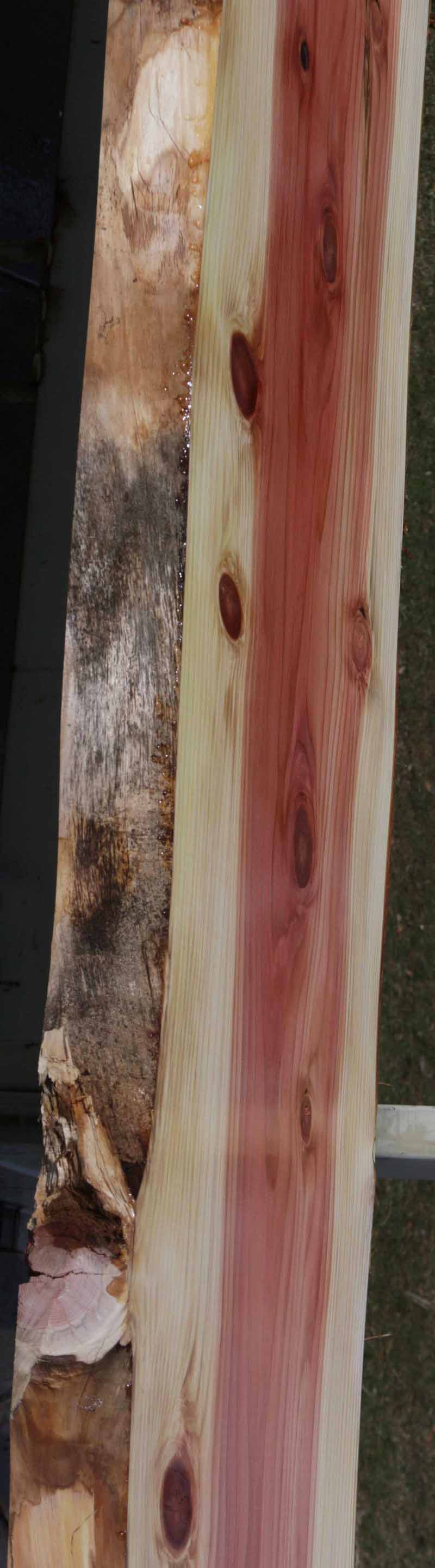Sequoia Slab
