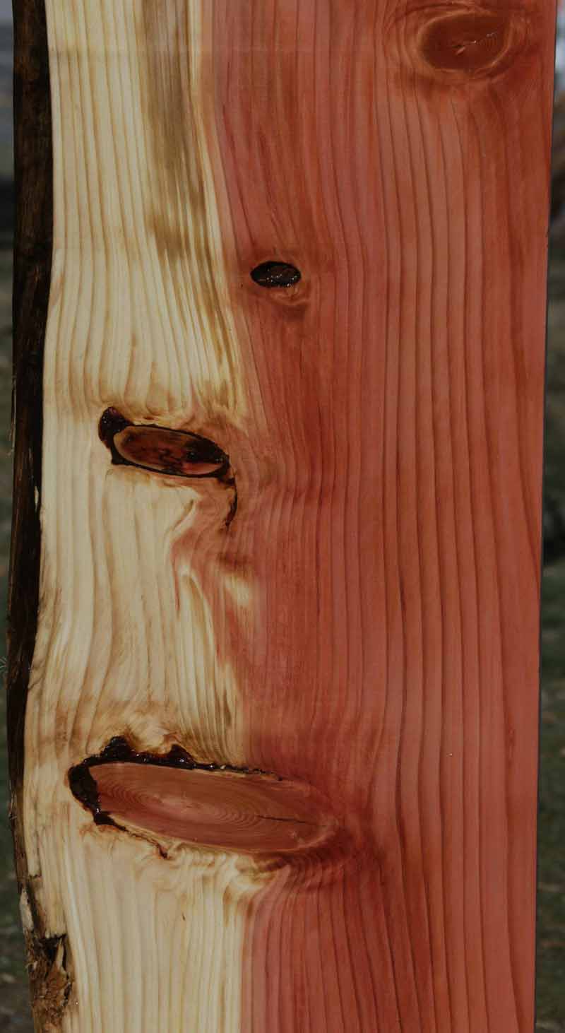 Sequoia Live Edge Lumber