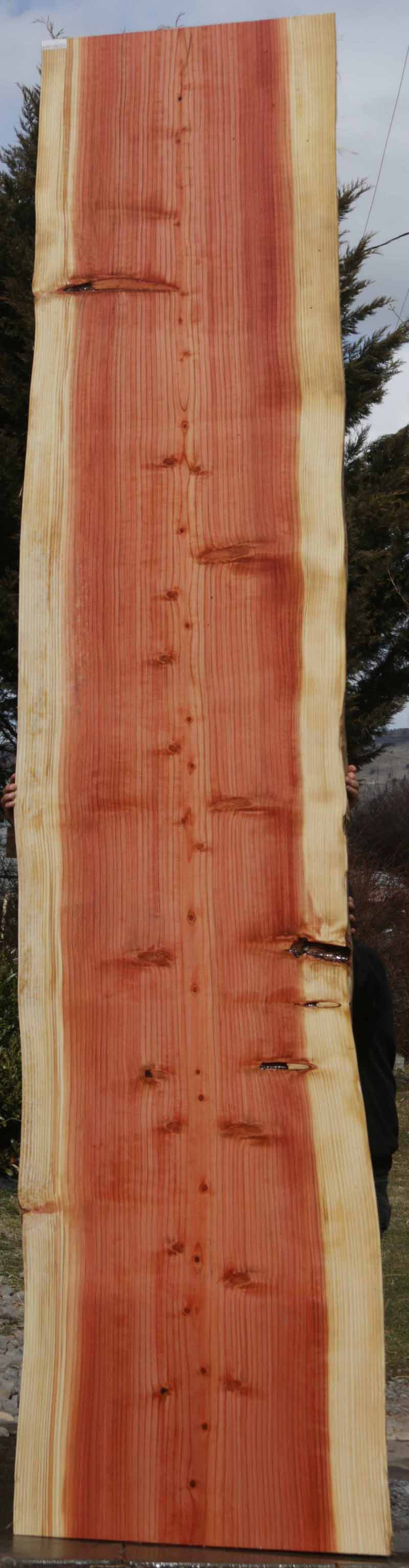 Quartersawn Sequoia Slab