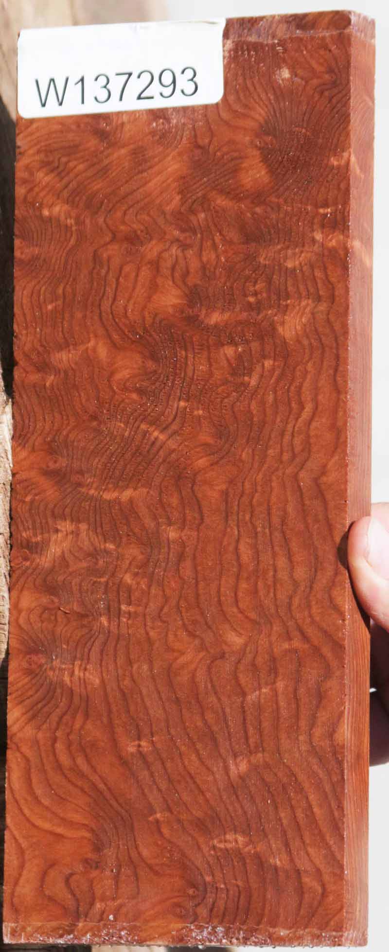 Curly Redwood Burl Drop Top Electric Guitar Billet