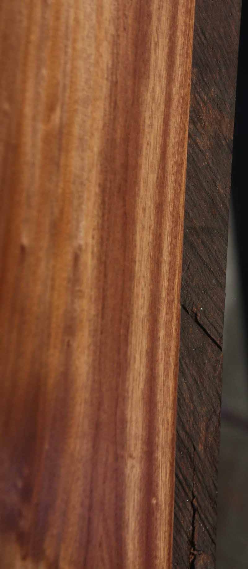 Feather Crotchwood Sipo Slab