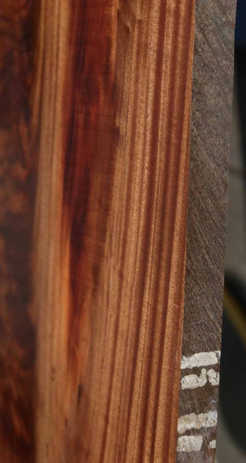 Feather Crotchwood Sipo Slab