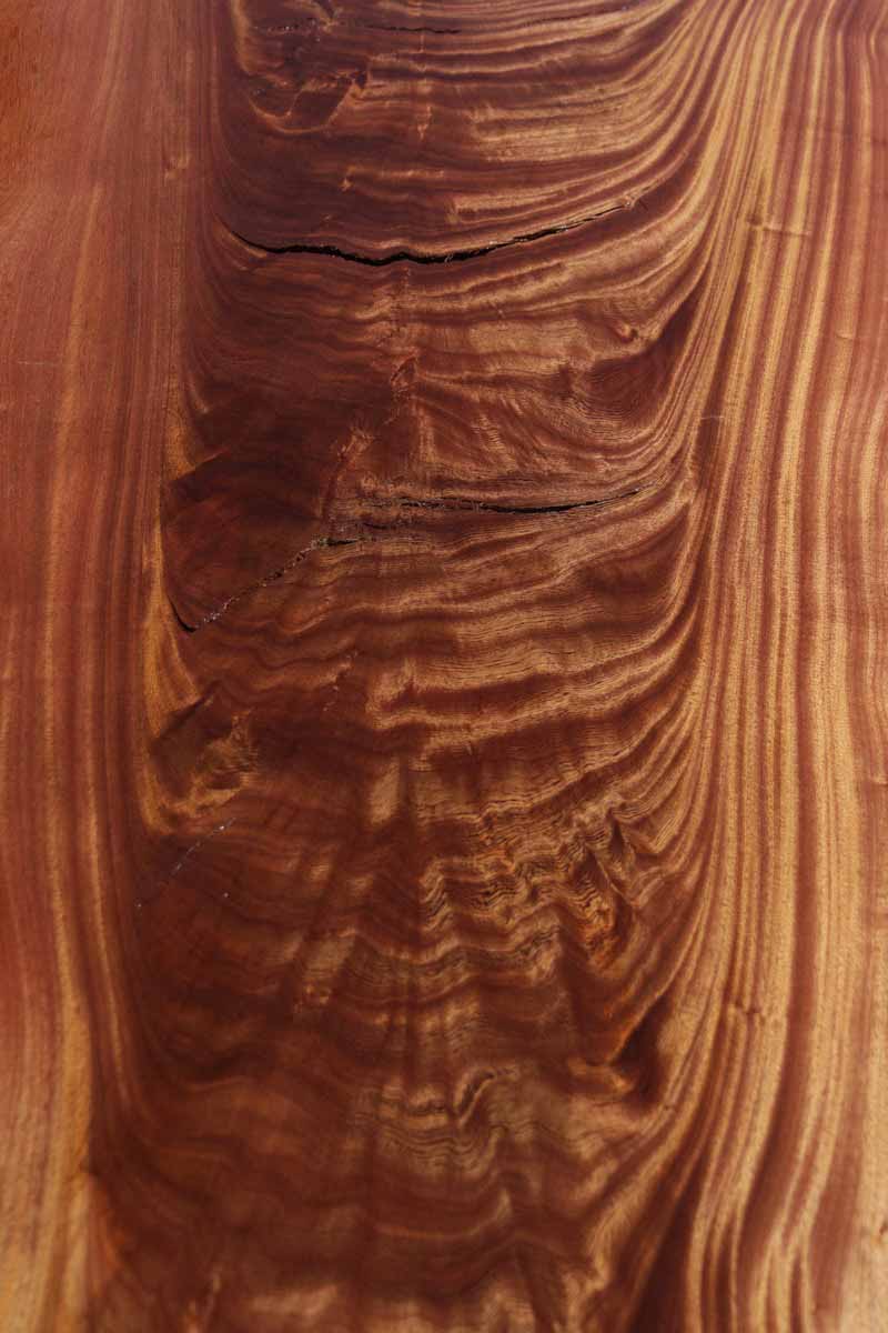Feather Crotchwood Sipo Slab