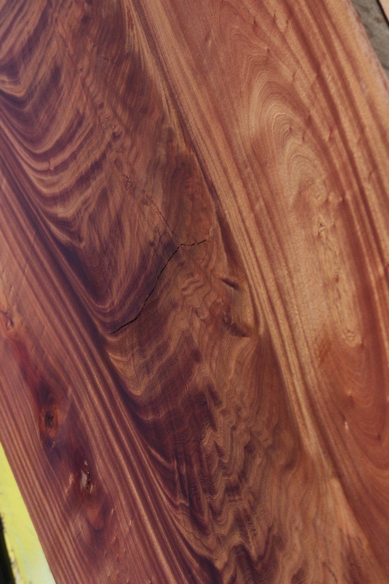 Feather Crotchwood Sipo Slab