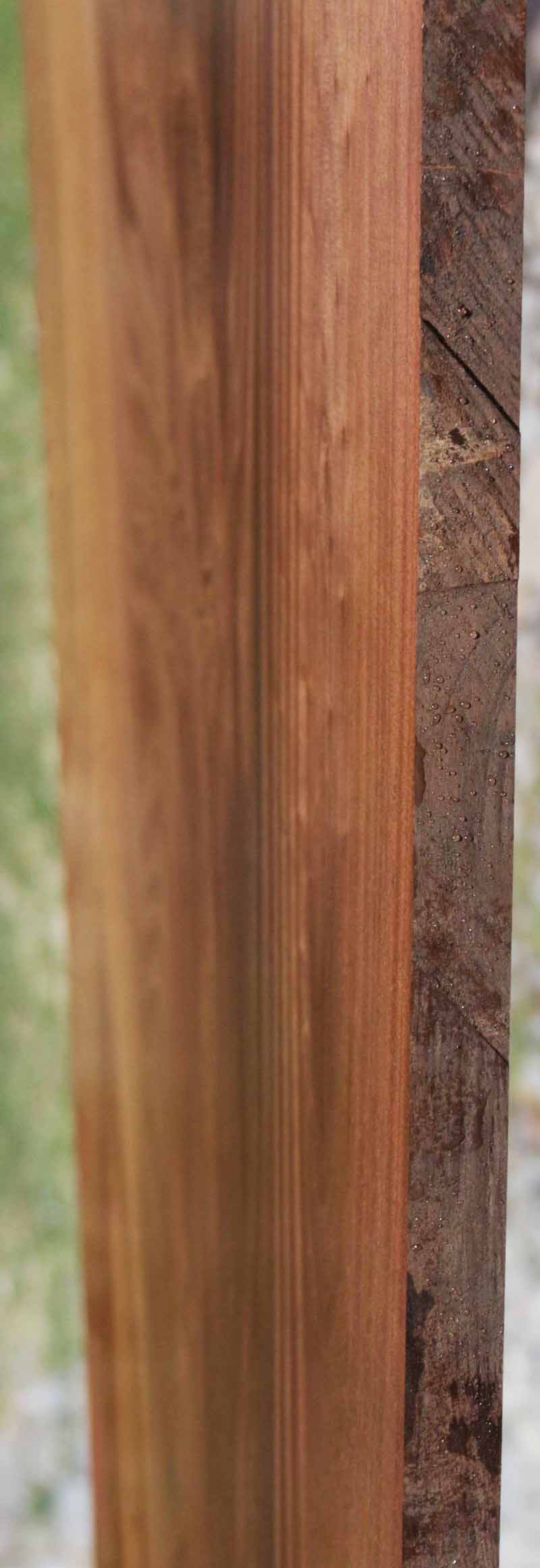 Feather Crotchwood Sipo Slab