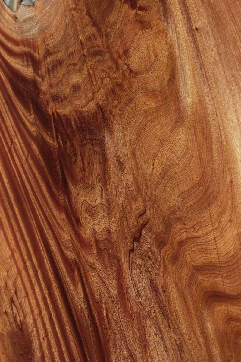 Crotchwood Sipo Slab