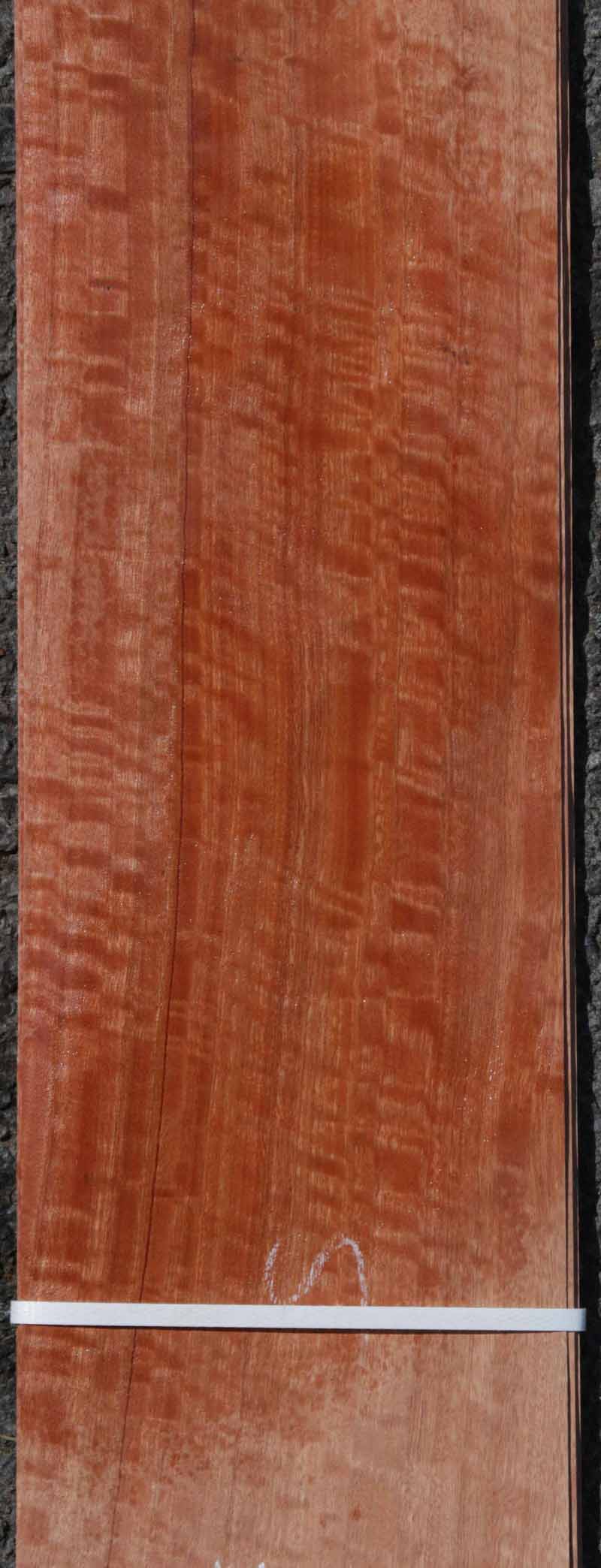 Red Gum Veneer Flitch - 8 Sheets