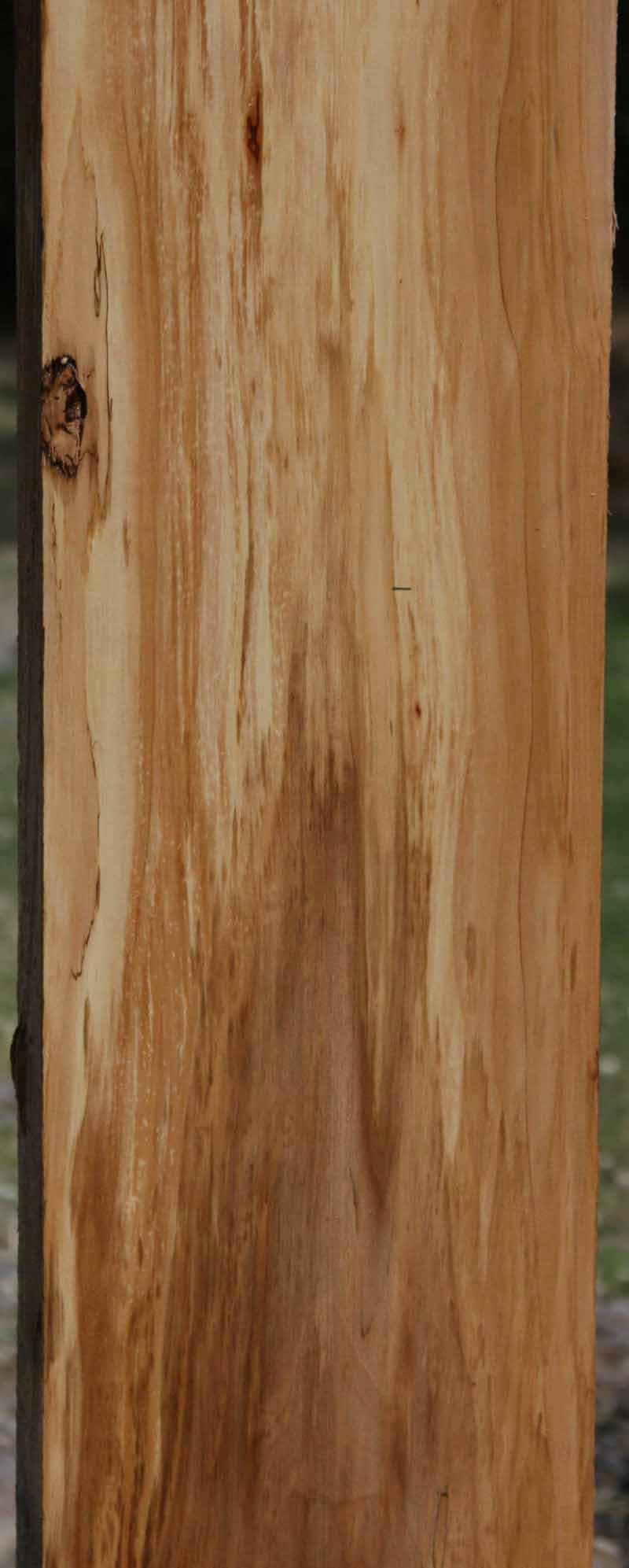 Rustic Black Cottonwood Mantel