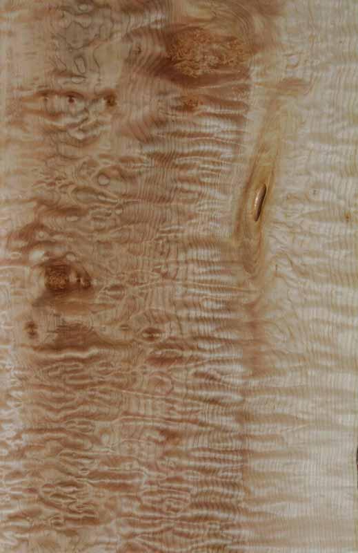 Fancy Quilted Maple Mini Slab