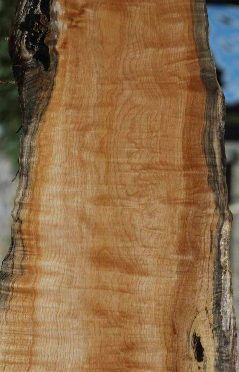 Figured Maple Lumber