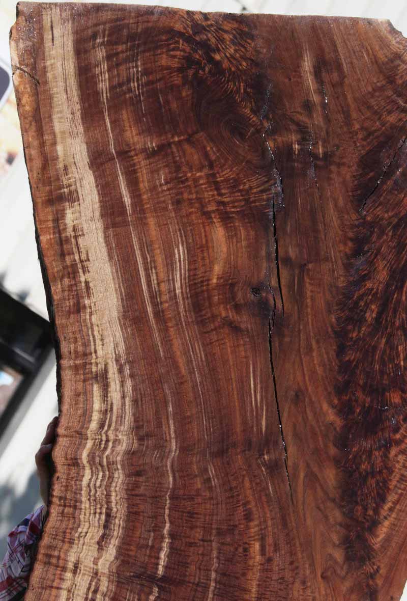 Extra Fancy Fiddleback Crotchwood Claro Walnut Slab