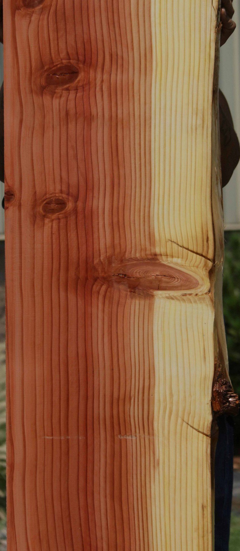 Sequoia Mantel