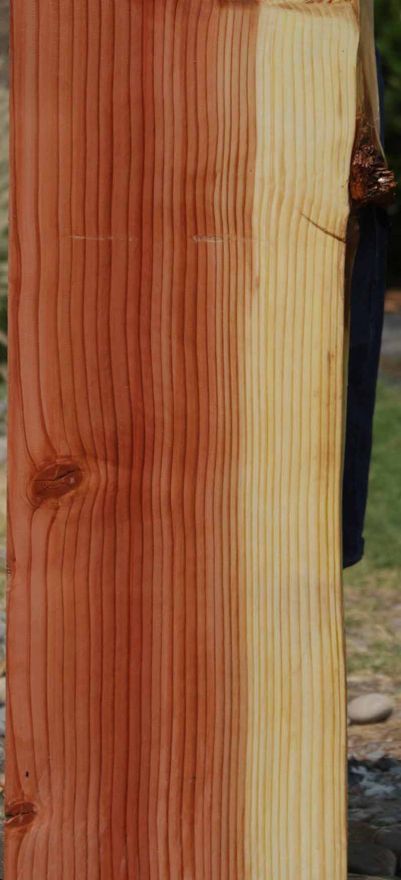 Sequoia Mantel