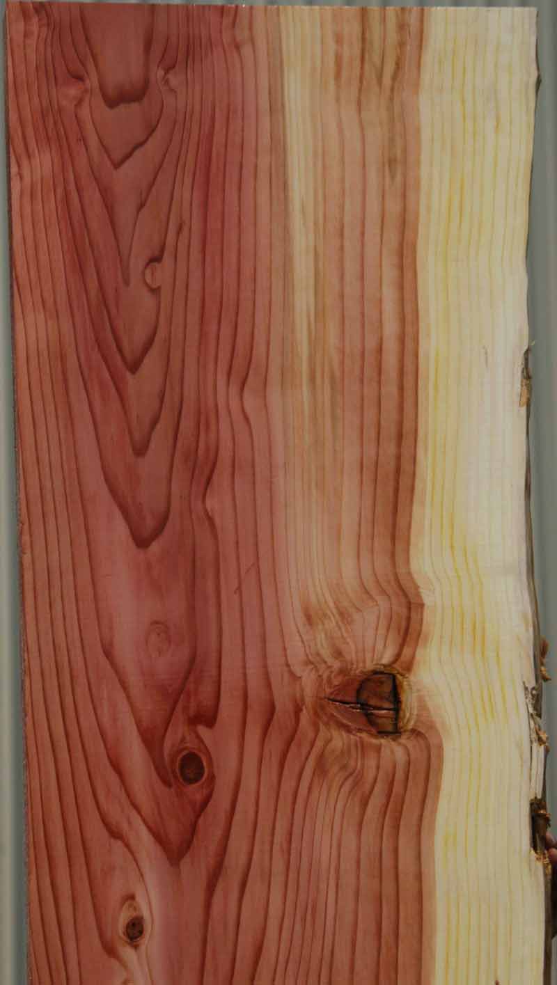 Knotty Sequoia Mantel