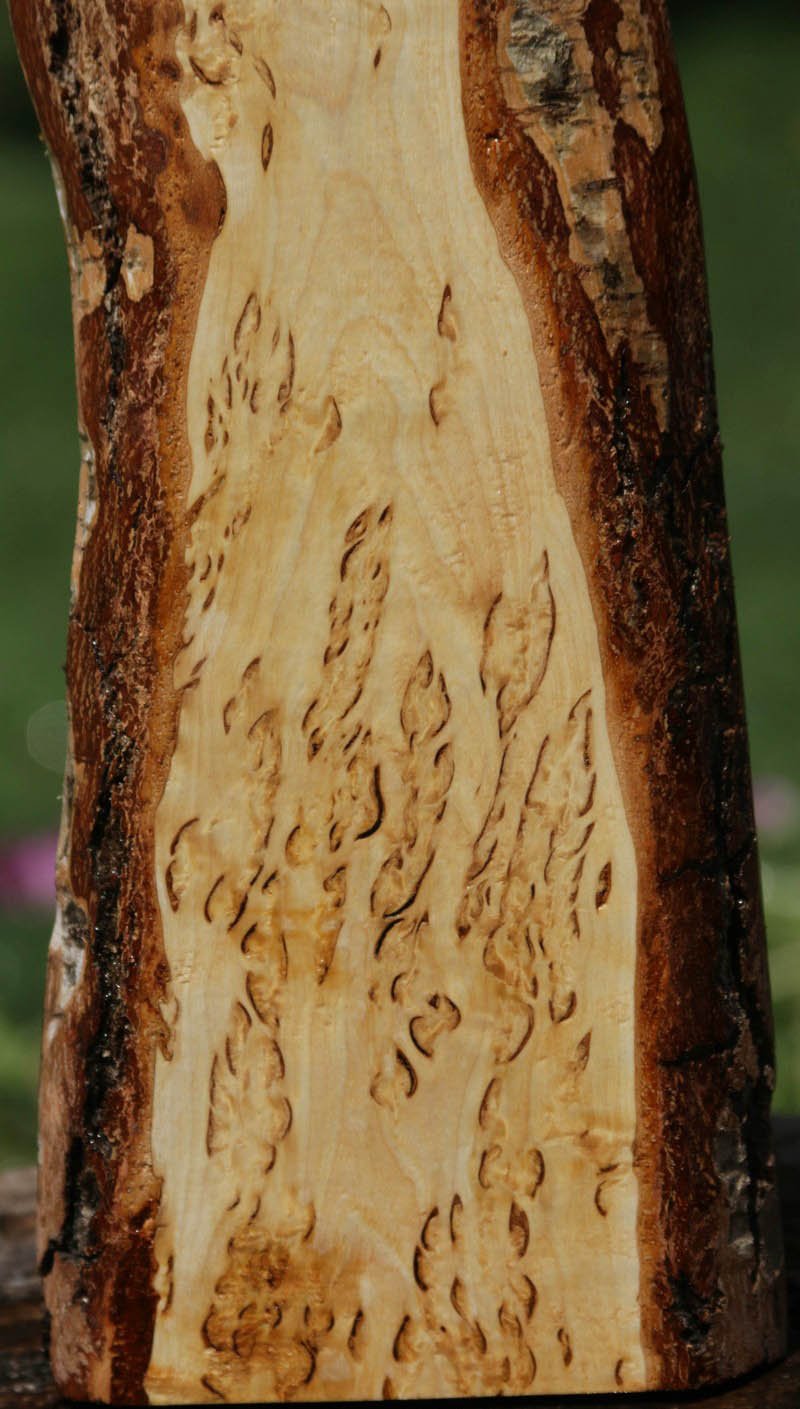 Masur Birch Lumber