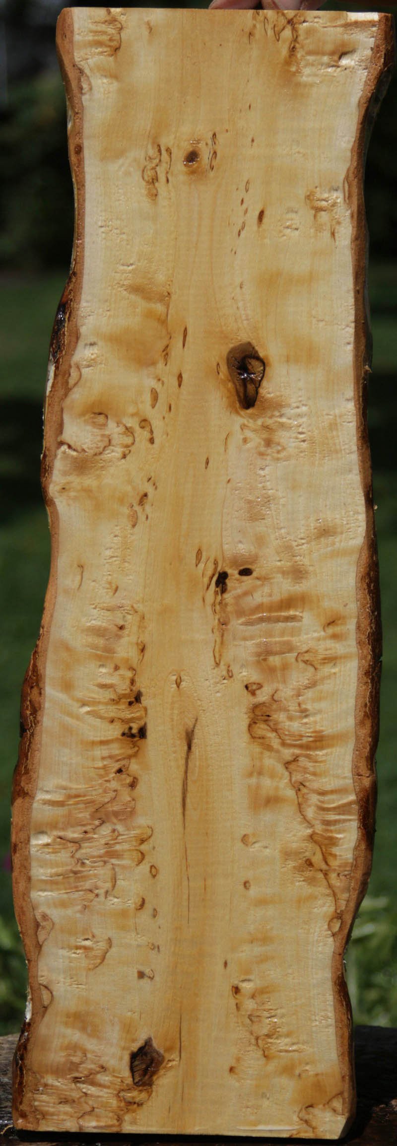 Masur Birch Lumber