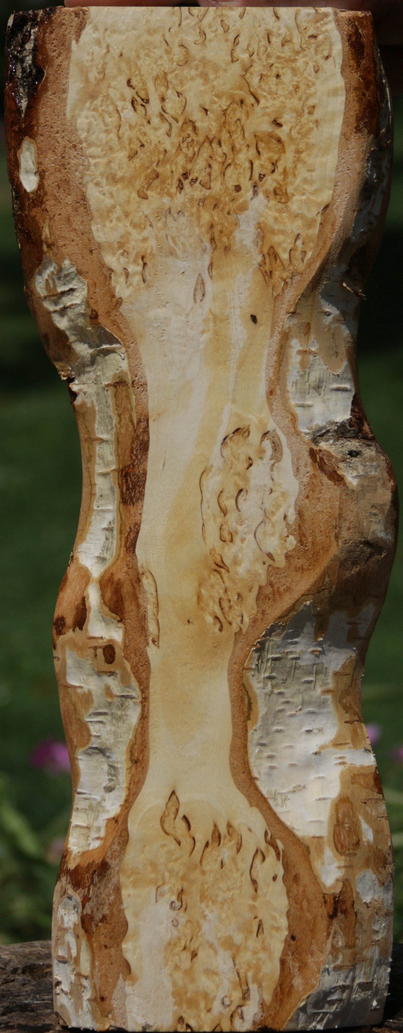 Masur Birch Lumber