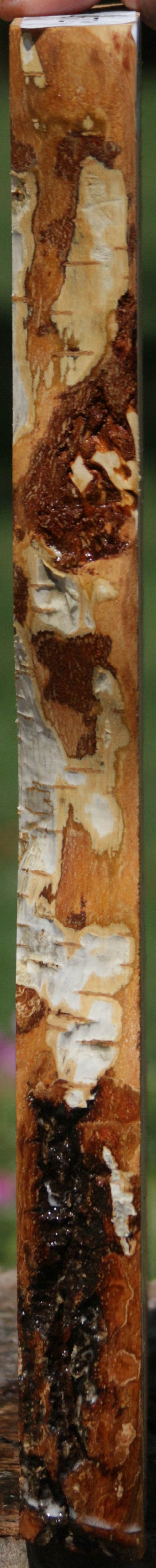 Masur Birch Lumber