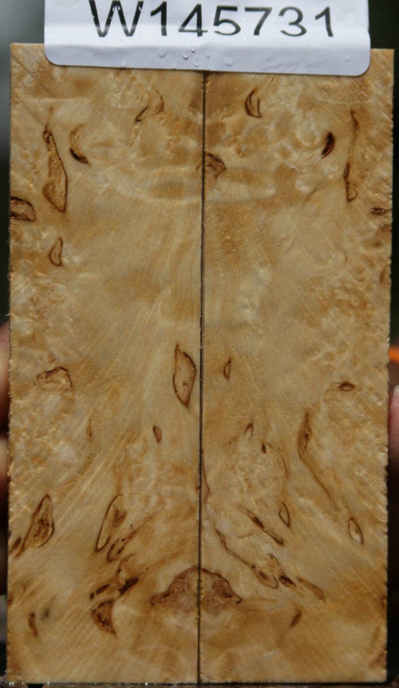 Masur Birch Knife Scales