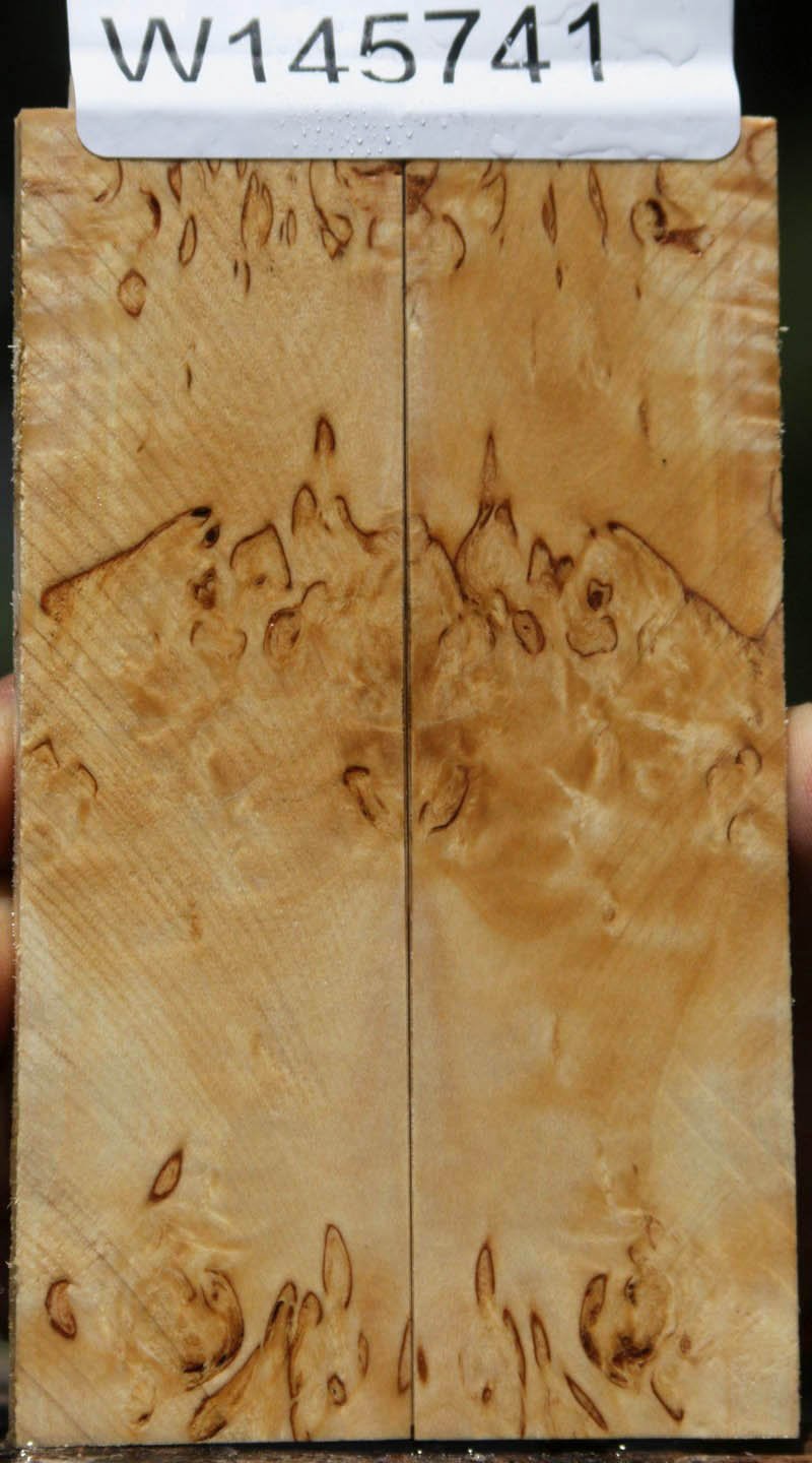 Masur Birch Knife Scales