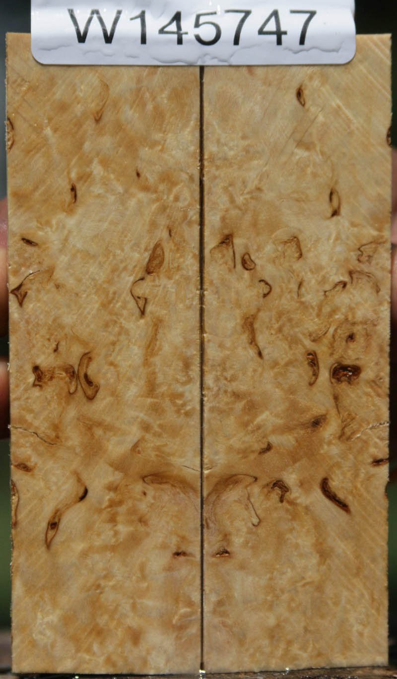 Masur Birch Knife Scales