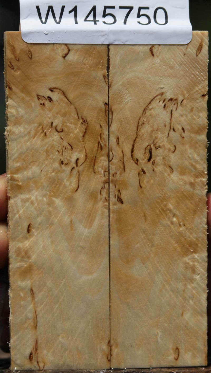 Masur Birch Knife Scales