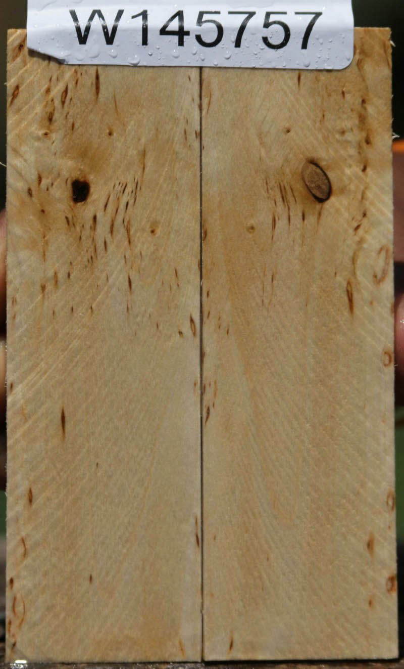 Masur Birch Knife Scales