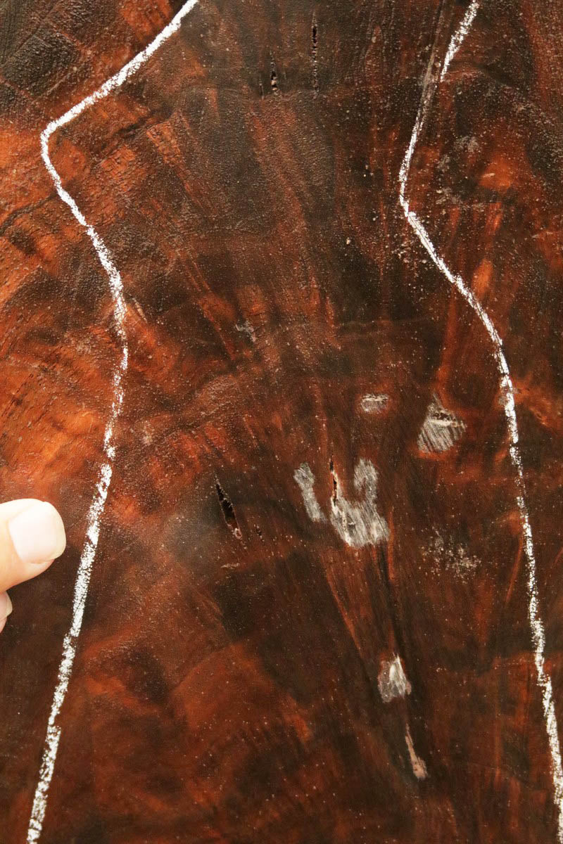 Exhibition Crotchwood Claro Walnut Gun Blank