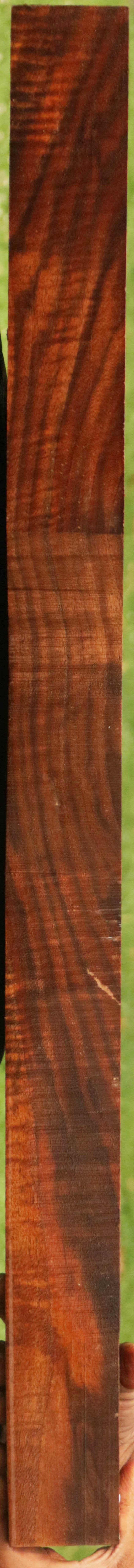 Exhibition Feathered Crotchwood Claro Walnut Gun Blank