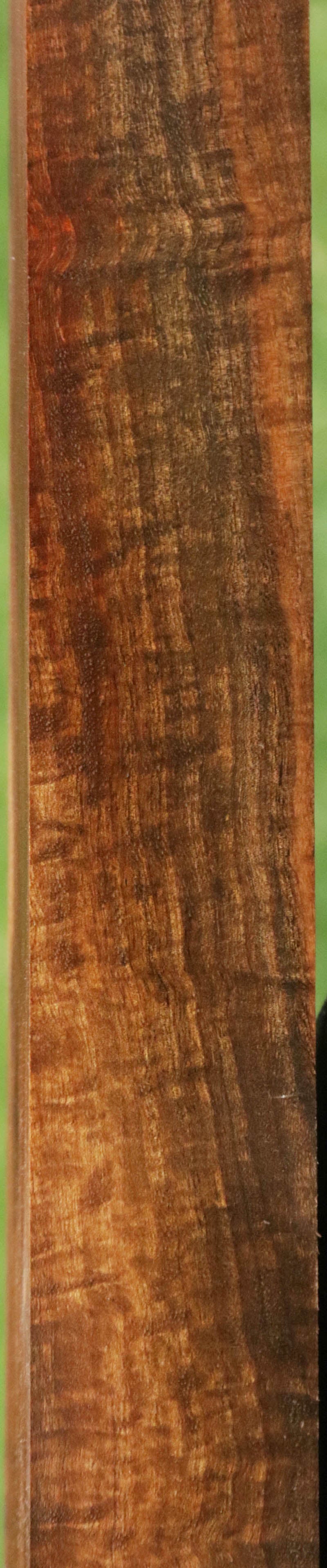 AAA+ Claro Walnut Gun Blank