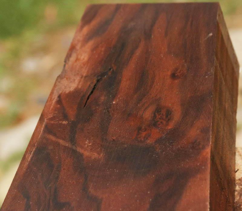 AA+ Claro Walnut Gun Blank