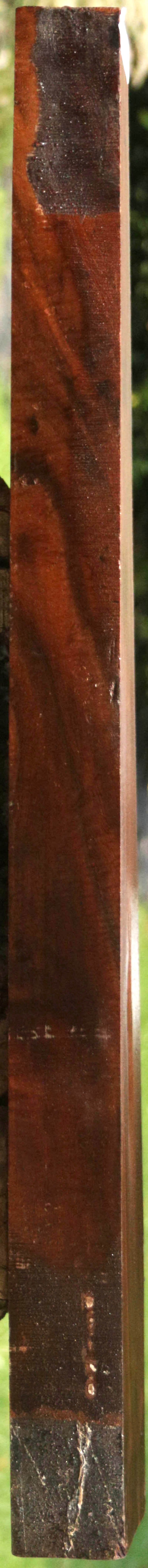 AAA+ Claro Walnut Gun Blank