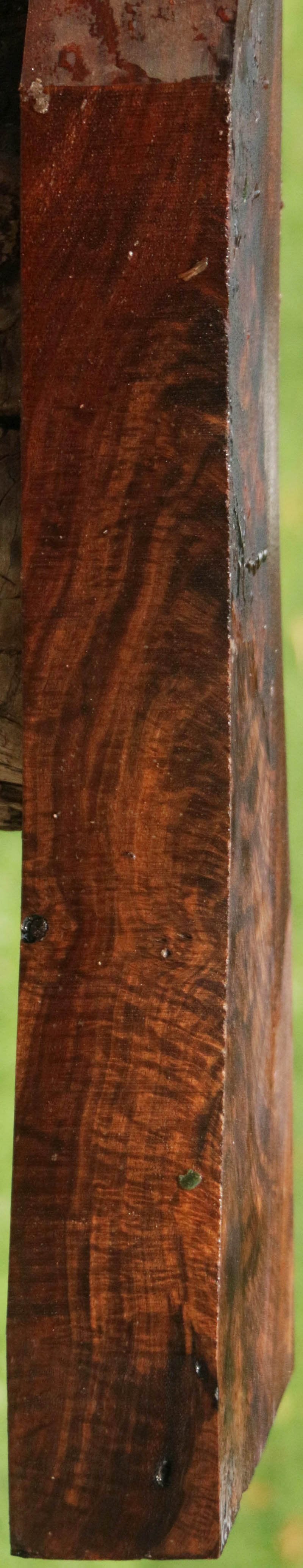 Exhibition Feathered Crotchwood Claro Walnut Gun Blank