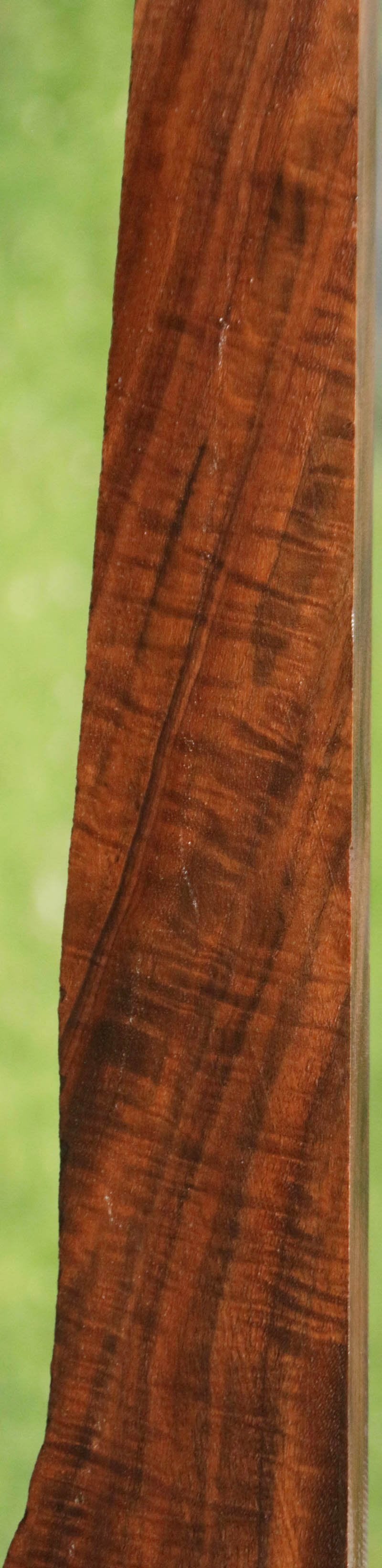 AAA+ Claro Walnut Gun Blank