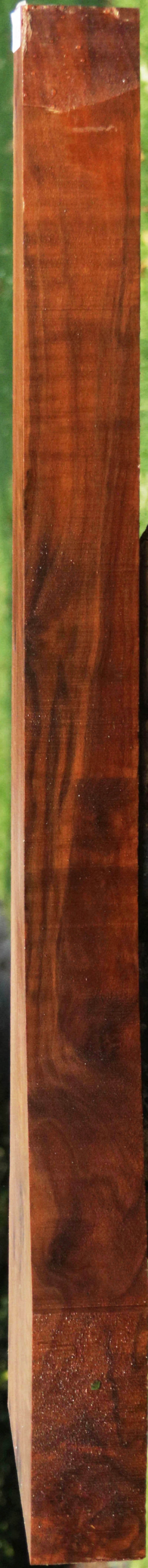 AAA+ Claro Walnut Gun Blank