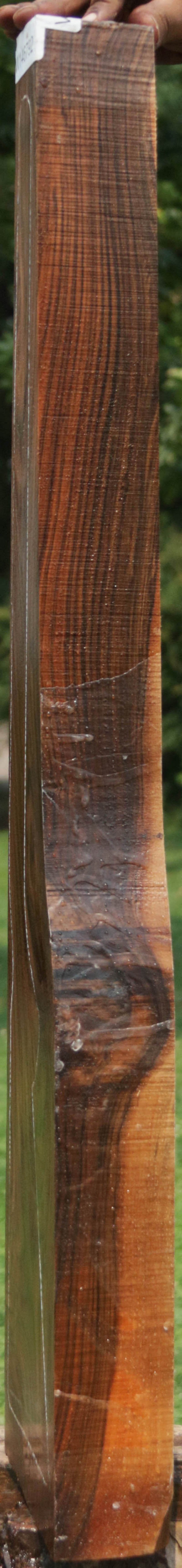 Exhibition English Walnut Gun Blank