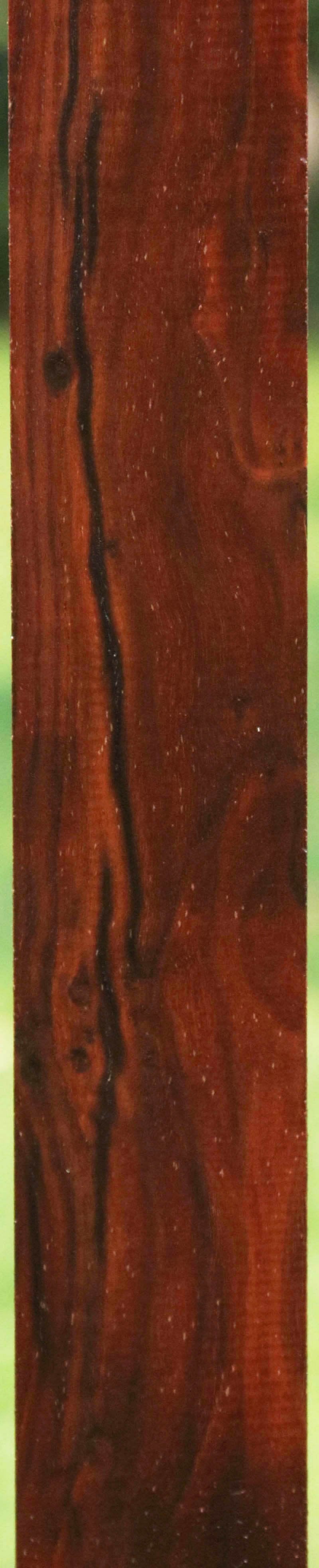 AAA+ Claro Walnut Gun Blank