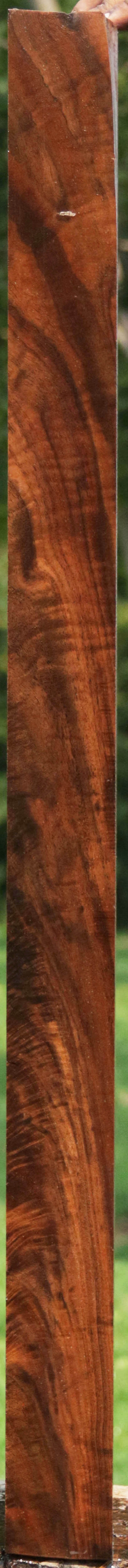 Exhibition Claro Walnut Gun Blank