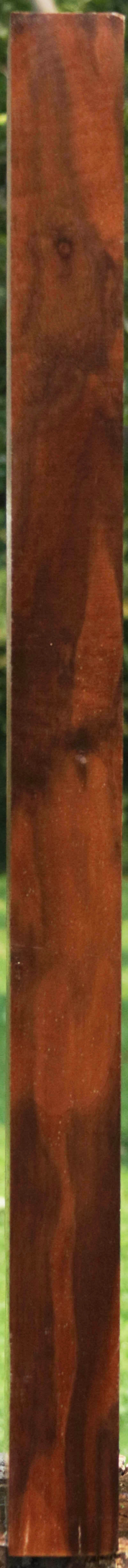 AAA+ Claro Walnut Gun Blank