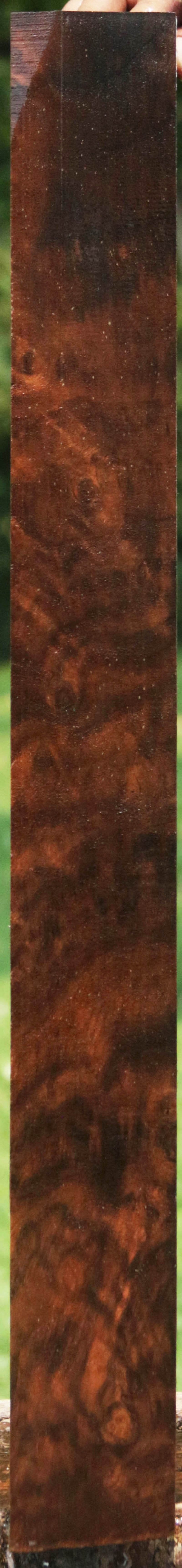 Exhibition Claro Walnut Gun Blank