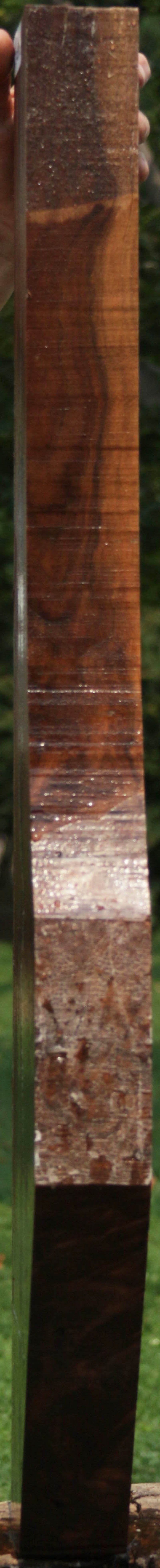 Extra Fancy Crotchwood Claro Walnut Gun Blank