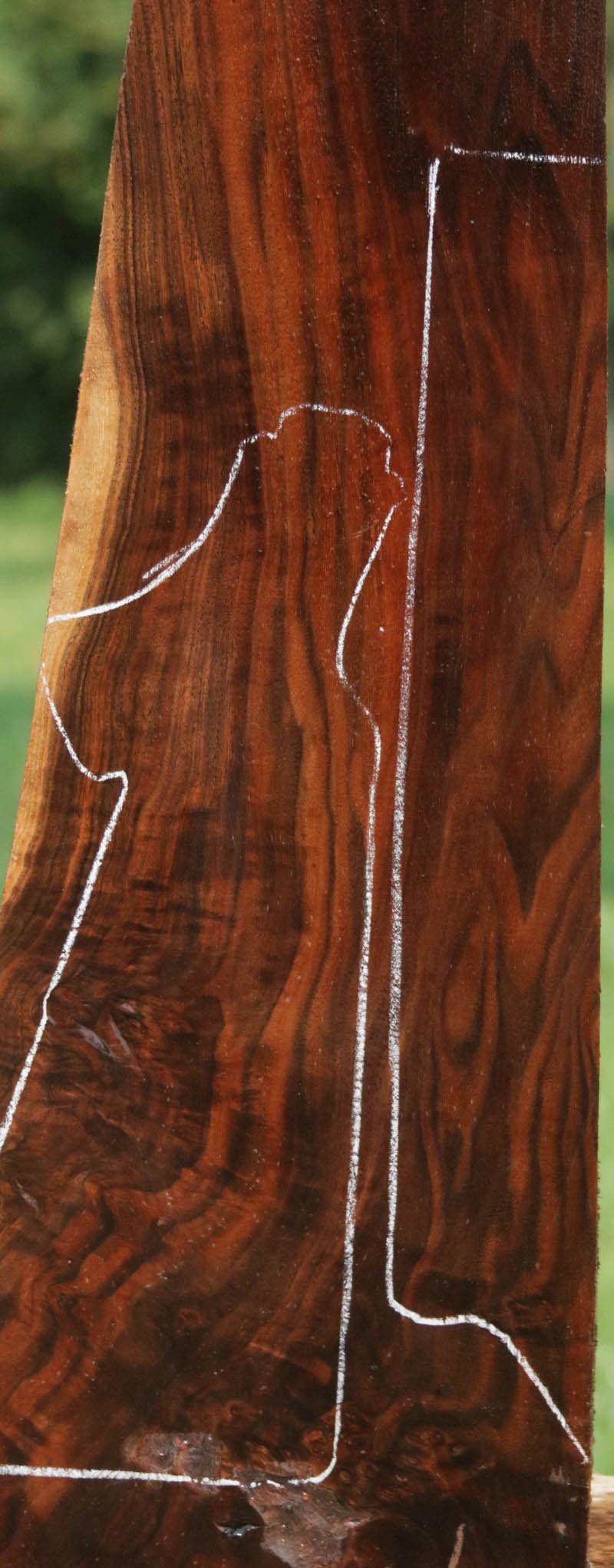 AAA+ Claro Walnut Gun Blank