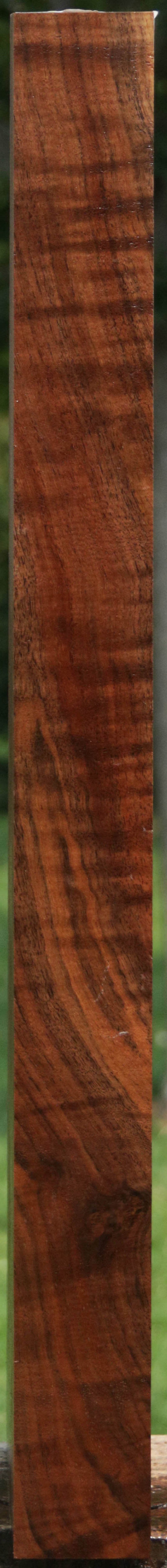 Exhibition Claro Walnut Gun Blank