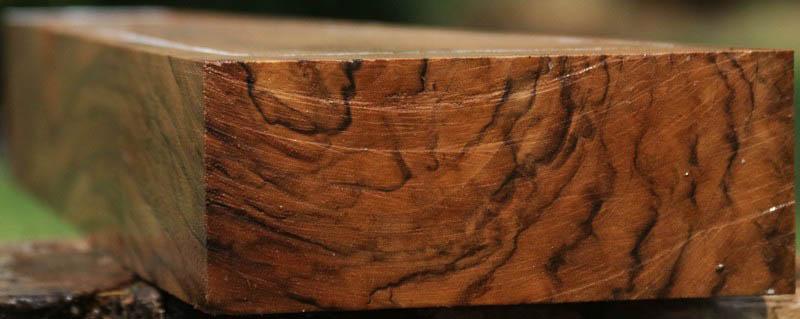 Exhibition English Walnut Gun Stock