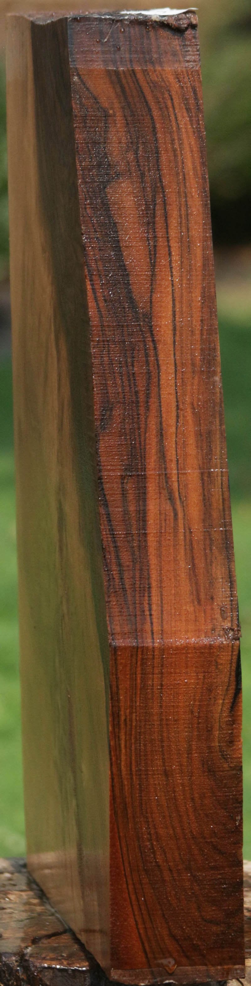 AAA+ English Walnut Gun Stock